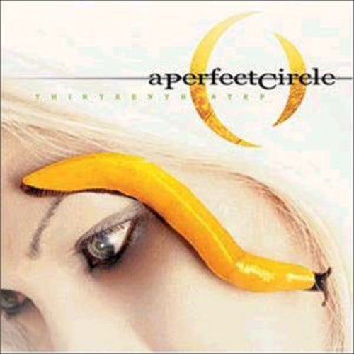 A PERFECT CIRCLE - THIRTEENTH STEP (2LP)