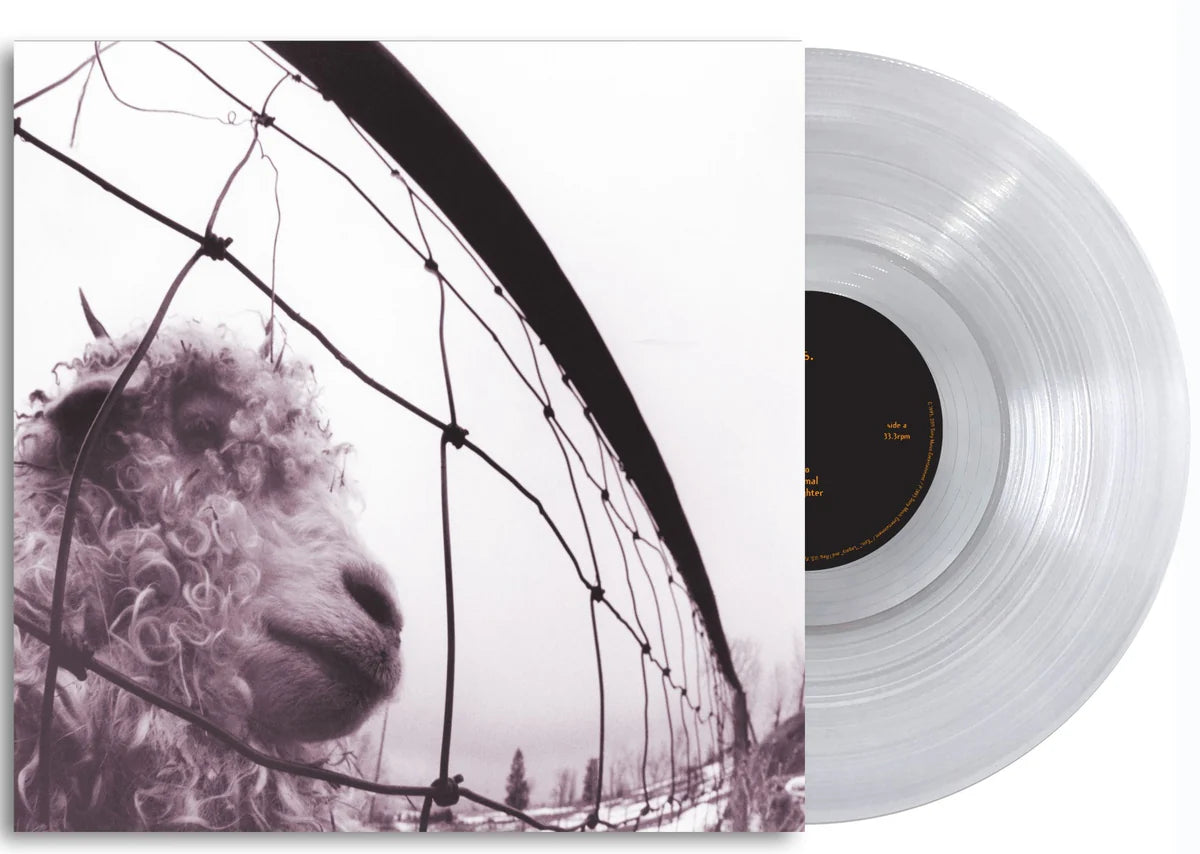 PEARL JAM - VS. (Limited Edition 30th Anniversary, Clear Vinyl)